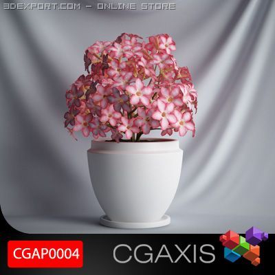 cgaxis plant 04 3D Model .c4d .max .obj .3ds .fbx .stl .blend 