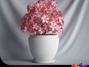 cgaxis plant 04 3D Model