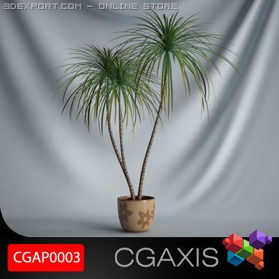 cgaxis plant 03 3D 模型 .c4d .max .obj .3ds .fbx .stl .blend 