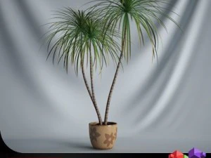 cgaxis plant 03 3D Model