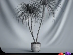 cgaxis plant 03 3D Model