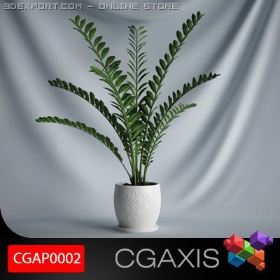 cgaxis plant 02 Modelo 3D .c4d .max .obj .3ds .fbx .stl .blend 