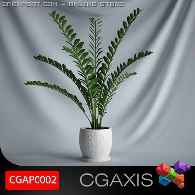 cgaxis plant 02 3D Model .c4d .max .obj .3ds .fbx .stl .blend 