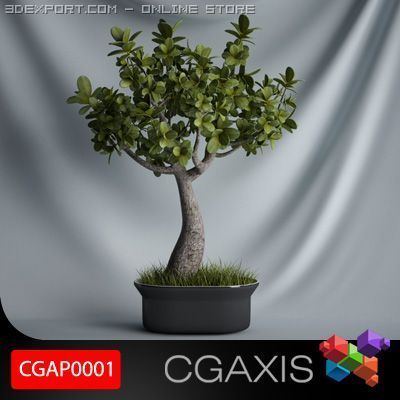 cgaxis plant 01 3D Model .c4d .max .obj .3ds .fbx .stl .blend 