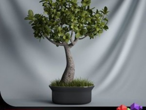 cgaxis plant 01 3D 모델