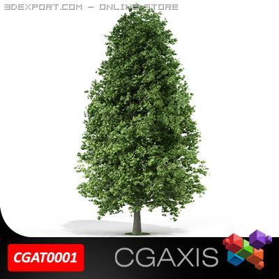 tree horse chestnut cgaxis 01 Model 3D .c4d .max .obj .3ds .fbx .stl .blend 