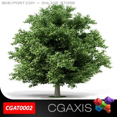 tree horse chestnut cgaxis 02 3D Model .c4d .max .obj .3ds .fbx .stl .blend 