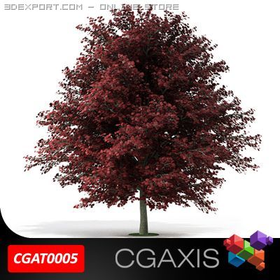 tree red maple cgaxis 05 3D Model .c4d .max .obj .3ds .fbx .stl .blend 