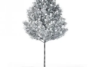 tree red maple cgaxis 06 3D Model