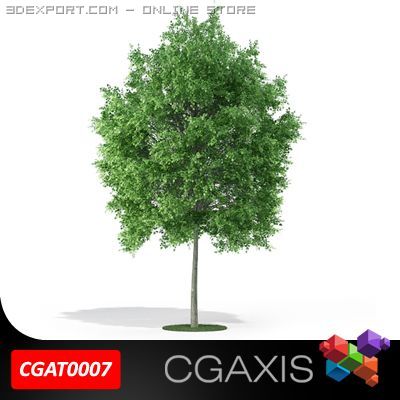 tree deciduous cgaxis 07 3D मॉडल .c4d .max .obj .3ds .fbx .stl .blend 