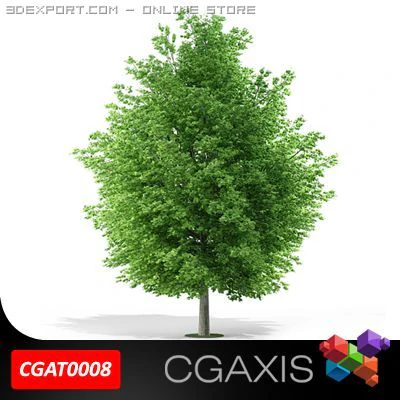 maple tree cgaxis 08 3D Model .c4d .max .obj .3ds .fbx .stl .blend