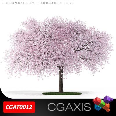 flowering tree cgaxis tree 12 Modèle 3D .c4d .max .obj .3ds .fbx .stl .blend 