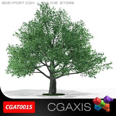 oak tree cgaxis 15 3D Model .c4d .max .obj .3ds .fbx .stl .blend 