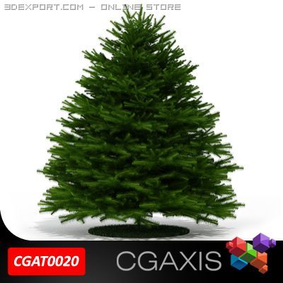 evergreen tree fir cgaxis 20 Modello 3D .c4d .max .obj .3ds .fbx .stl .blend 