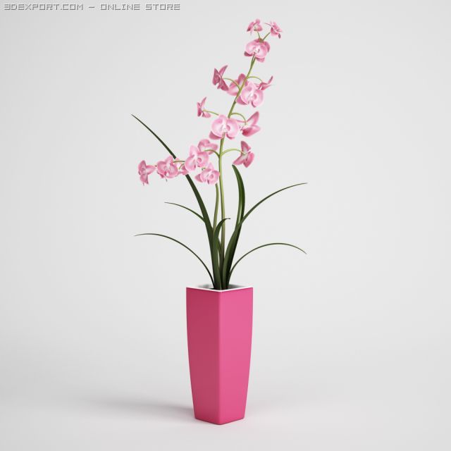 potted plant cgaxis models 006 04 Modello 3D .c4d .max .obj .3ds .fbx .stl .blend