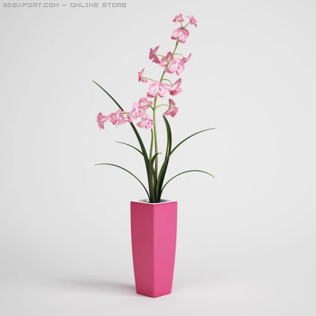 potted plant cgaxis models 006 04 3D Model .c4d .max .obj .3ds .fbx .stl .blend