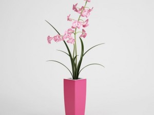 potted plant cgaxis models 006 04 Modelo 3D