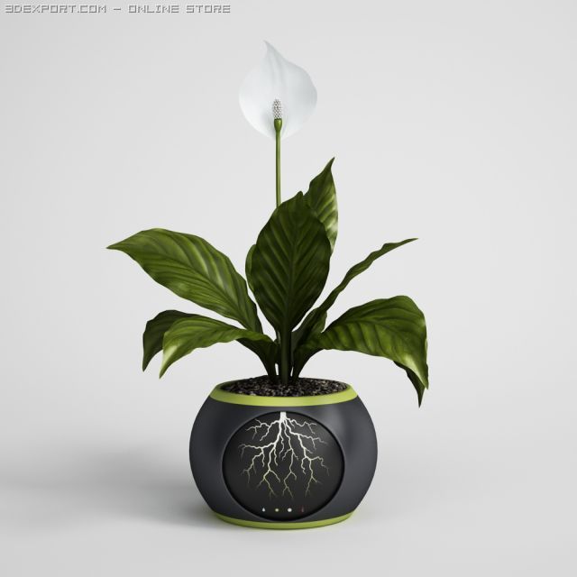 potted plant cgaxis models 006 05 Modelo 3D .c4d .max .obj .3ds .fbx .stl .blend 