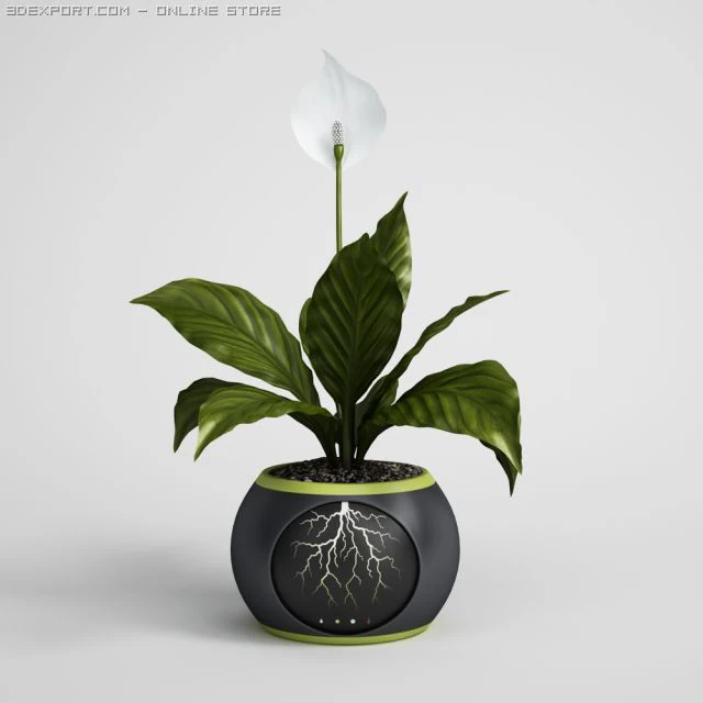 potted plant cgaxis models 006 05 3D Model .c4d .max .obj .3ds .fbx .stl .blend 