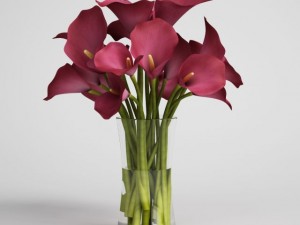 flowers in vase cgaxis models 006 08 3D Model