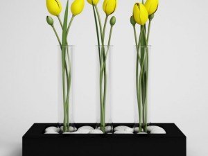 tulips in vase cgaxis models 006 11 3D Model
