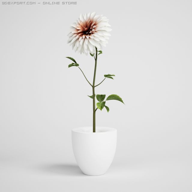 flower in vase cgaxis models 006 18 3D Model .c4d .max .obj .3ds .fbx .stl .blend 