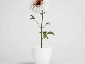 fiore in vaso cgaxis modelli 006 18 Modello 3D