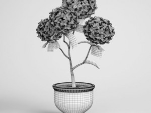 potted flowering plant cgaxis models 006 19 Modelo 3D