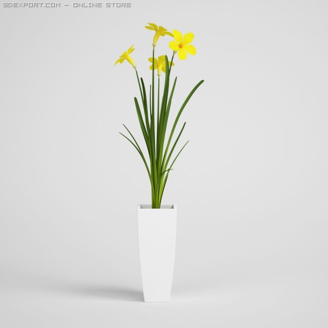 potted flowering plant cgaxis models 006 20 3D Модель .c4d .max .obj .3ds .fbx .stl .blend