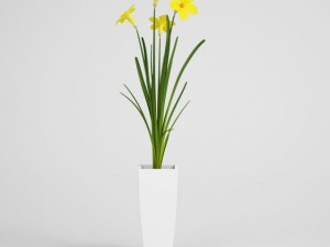 potted flowering plant cgaxis models 006 20 3D Модель