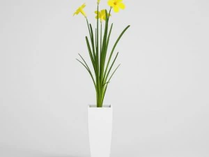 pianta da fiore in vaso cgaxis modelli 006 20 Modello 3D