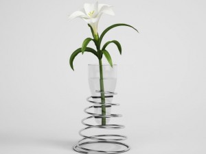 lily in modern vase cgaxis models 006 21 3D मॉडल