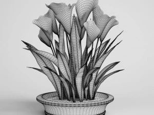 calla lilies in planter pot cgaxis models 006 22 3D Model