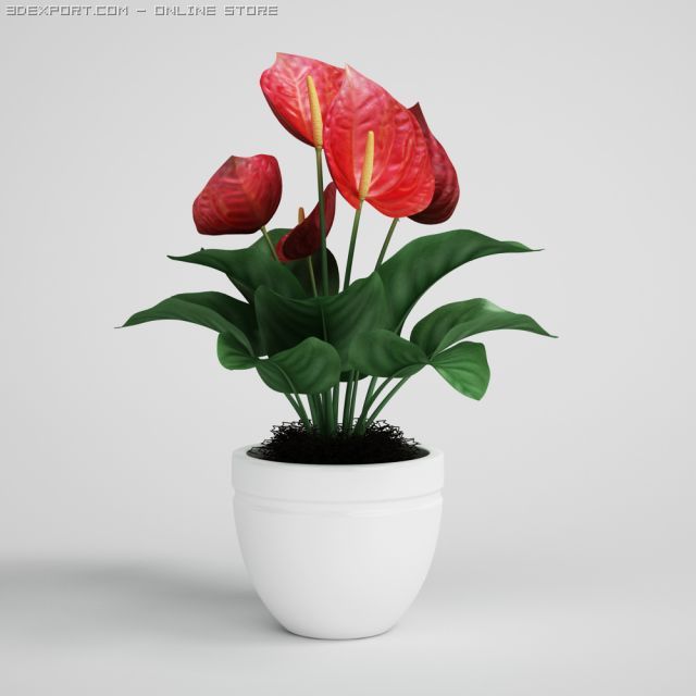 tropical plant in pot cgaxis models 006 23 3D-Modell .c4d .max .obj .3ds .fbx .stl .blend 