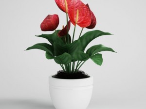 tropical plant in pot cgaxis models 006 23 3D Model