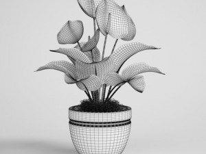tropical plant in pot cgaxis models 006 23 3D-Modell