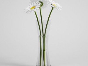 daisies in vase cgaxis models 006 24 Modello 3D