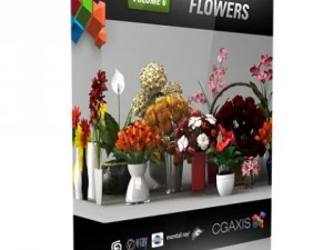 cgaxis models volume 6 flowers 3D Model
