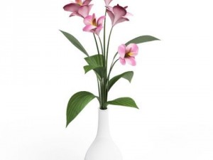 cgaxis models volume 6 flowers Modello 3D