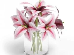 cgaxis models volume 6 flowers 3D Model