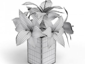 cgaxis models volume 6 flowers Modello 3D
