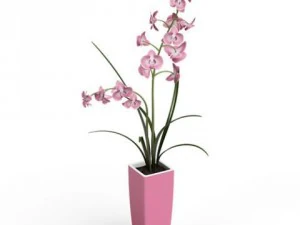 cgaxis models volume 6 flowers 3D Model