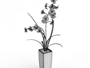 cgaxis models volume 6 flowers Modello 3D