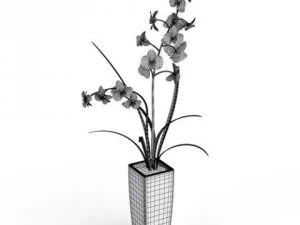 cgaxis models volume 6 flowers 3D Model