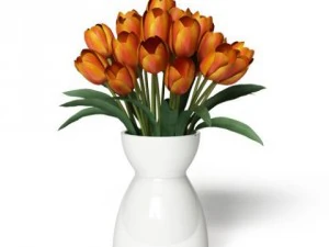 cgaxis models volume 6 flowers 3D Model