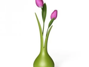 cgaxis models volume 6 flowers 3D Model