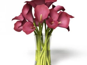 cgaxis models volume 6 flowers 3D Model