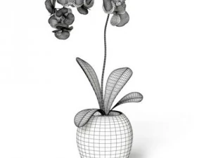 cgaxis models volume 6 flowers 3D Model