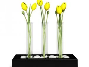 cgaxis models volume 6 flowers 3D Model