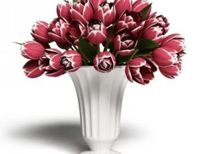 cgaxis models volume 6 flowers 3D Model